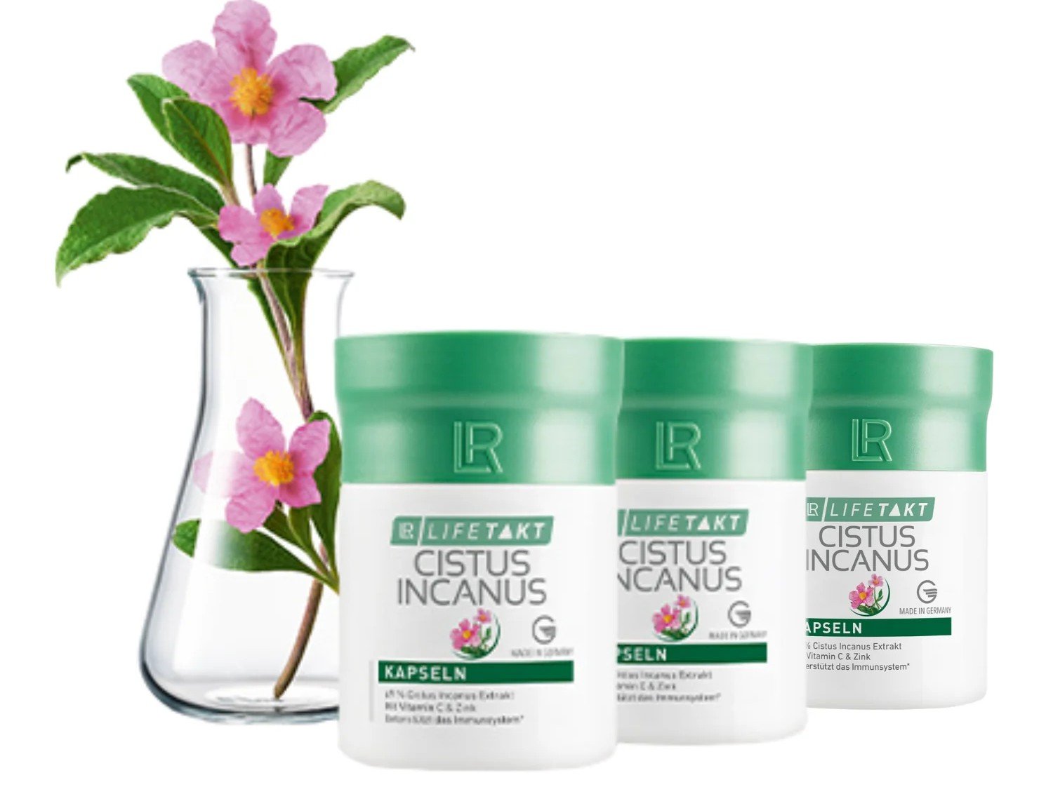 Cistus incanus - skalní růže | Elershop.cz